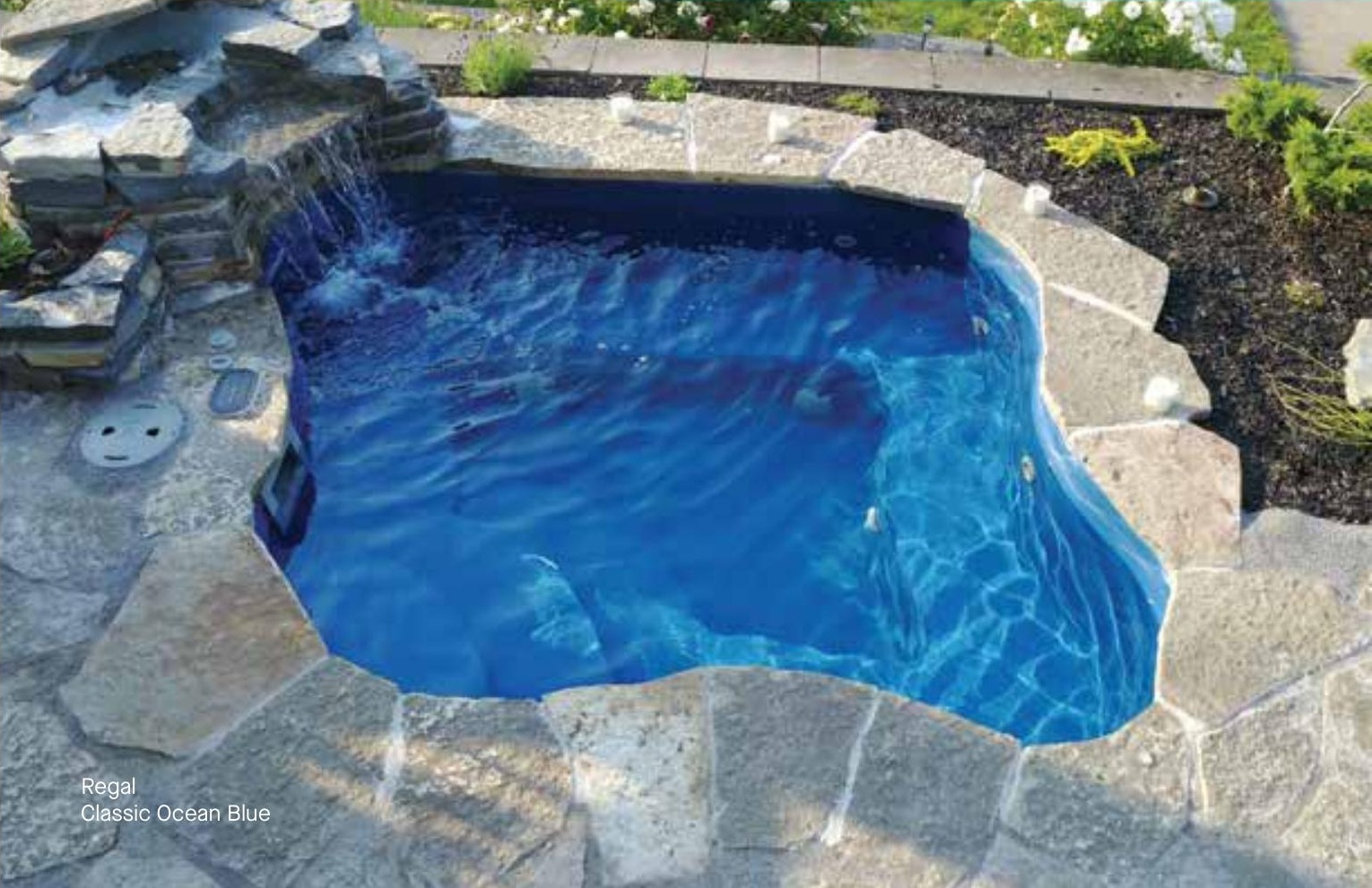 Regal fiberglass pool in a real backyard